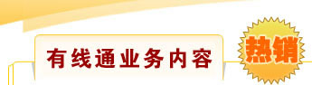 有线通业务内容